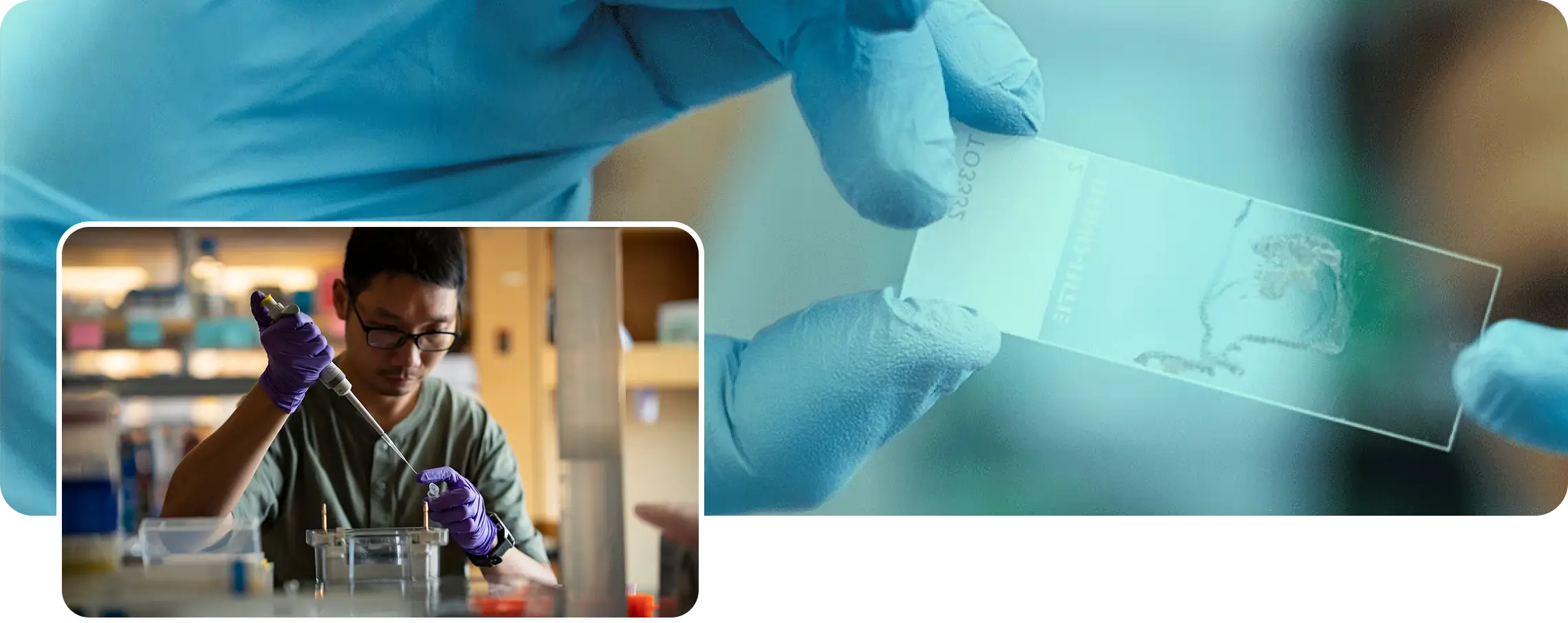 Smaller image of health research specialist adding sample in test tube with larger image in background of researcher holding up a sample on slide
