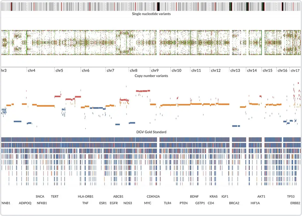 Screen capture of Augmet Academic software program