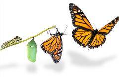 Managing Change