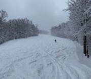Skiing
