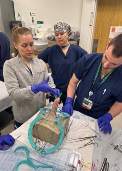 Urology Skills Lab