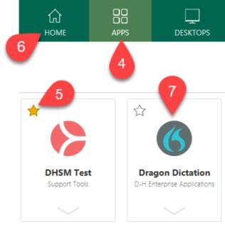 Depiction of the DHApps storefront application
