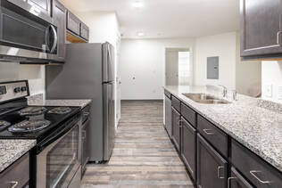 The kitchen in an Altaria apartment