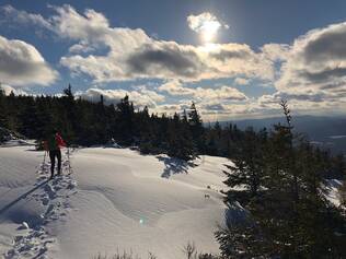 Snow Shoeing