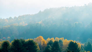 Fall foliage in the Upper Valley