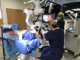 Laryngology Dissection Lab