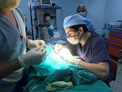 Global Health Procedure