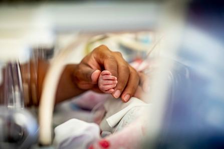 An adult holding a newborn's hand in the intensive care nursery