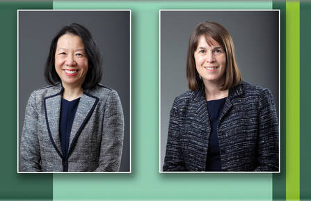 Sandra L. Wong, MD, MS, and Christine T. Finn, MD