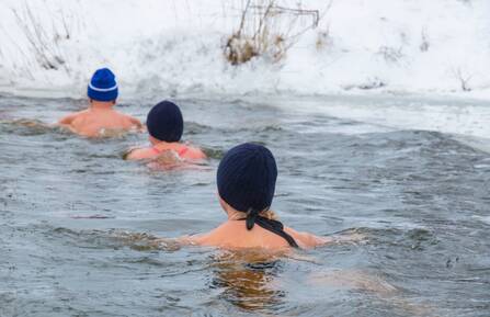 People swimming in ice water