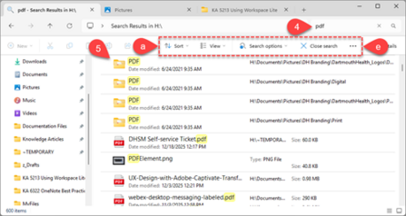 Windows File Explorer file list