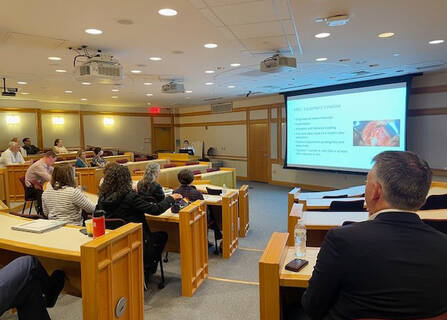 Sarah Seo at the Autumn in New England Otolaryngology Conference