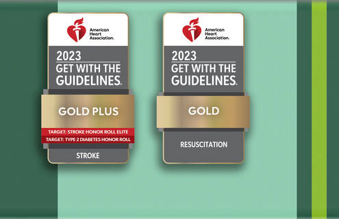 American Heart Association Gold Plus and Gold award badges
