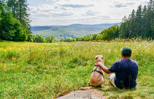 man sitting in field with a dog