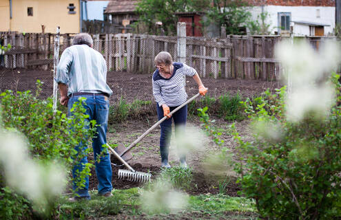 older couple working in garden