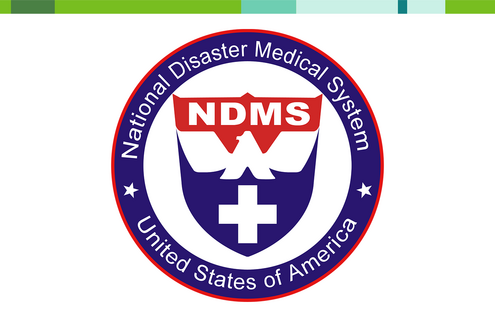 NMDS logo