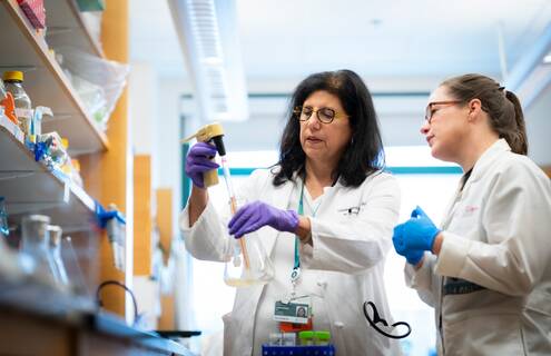 Linda Vahdat, MD, in lab with colleague