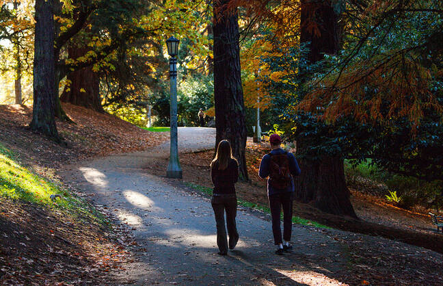 two people walking in the fall