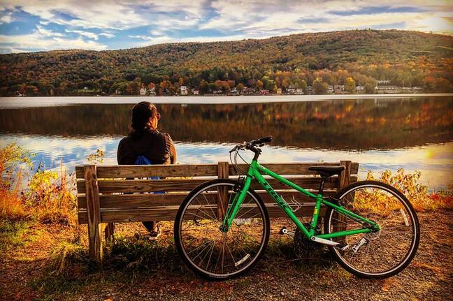 Scenery at the lake