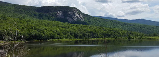 Mountain Scene