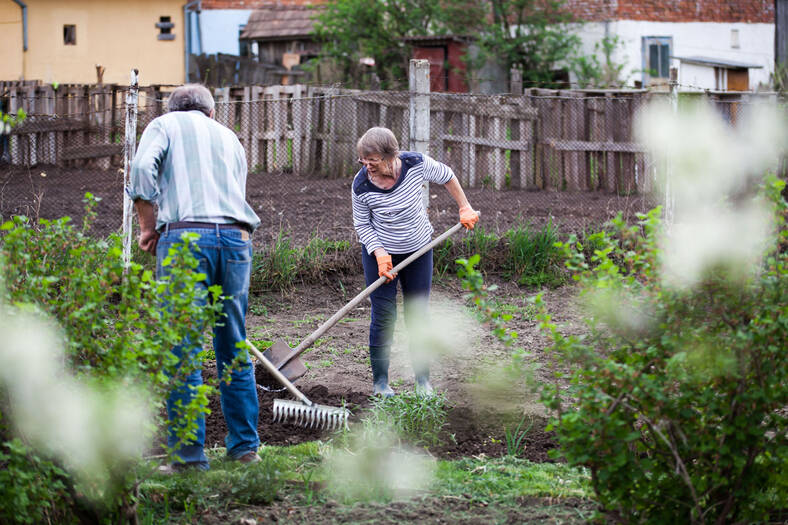 older couple working in garden 