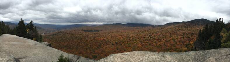Foliage Panorama